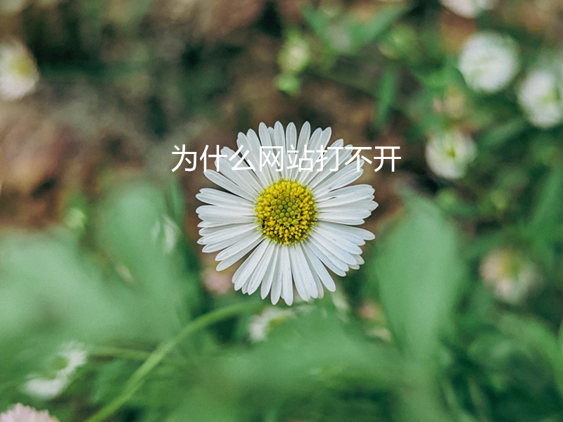 為什么網(wǎng)站打不開(kāi)